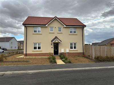 Picture 27
